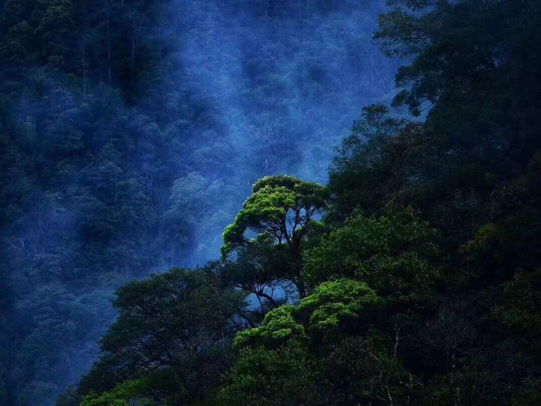 解答疑惑,尽在离婚后有判决书,上面写着可以探望孩子,可以带孩子住两天。男方不让接孩子怎么办?